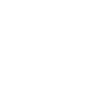 Facebook login icon